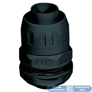 ETNECGX25-29N
