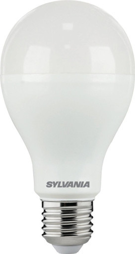 SYL0030045
