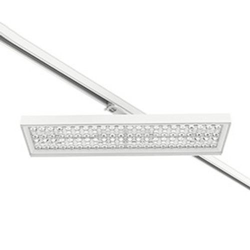 PRI3101717 PRI3101717