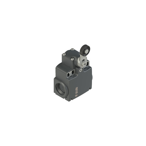 PZZFX 1131-M2