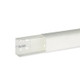 IBOB06810