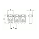 CBRCAF3N4S1