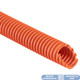 ETNECTP1220