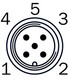 SIK1113979