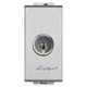 BTINT4022C