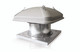 FANAP11017
