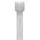 ABBTYFAST-KIT-IT