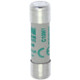 EAOC10M1