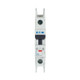 EAO102085