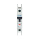 EAO102091