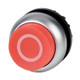 EAO216655