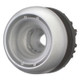 EAO216933