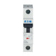 EAO278556