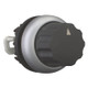 EAO279419