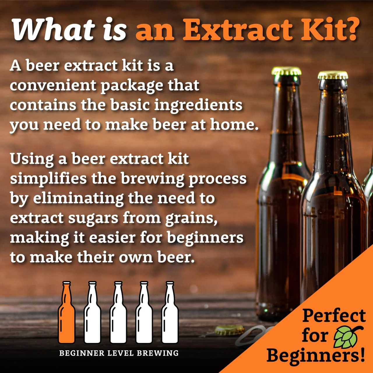 My Brew Supply Irish Red Beer Extract Kit | Pale Dry Malt Extract ...