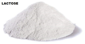 Lactose - 1 lb Bag Lactose - 1 lb Bag