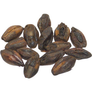 American Chocolate Malt - Briess Malting American Chocolate Malt - Briess Malting