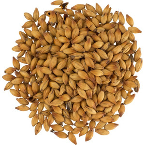 Dingemans Special B Malt (140L) Dingemans Special B Malt (140L)