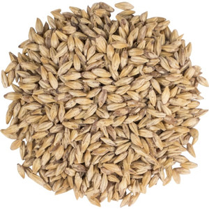 Carapils Malt - Briess Malting Carapils Malt - Briess Malting