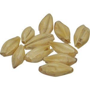 Vienna Malt 5L German - Avangard Malting Vienna Malt 5L German - Avangard Malting