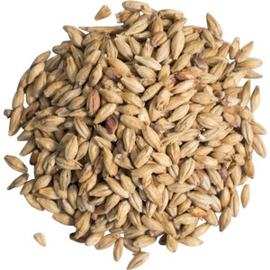 Munich Medium Malt (30L)