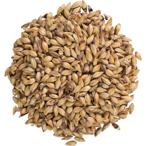 American Caramel Malt 80L - Briess Malting