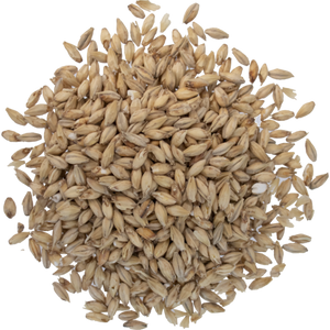 2-Row Premium Malt by Avangard Malz 55 lbs (Whole) beer brewing grains (2L)