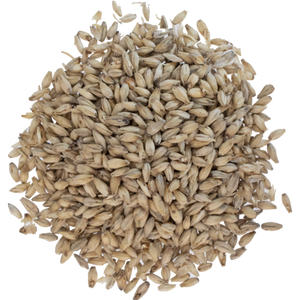 6-Row Malt by Avangard 55 lbs (Whole) beer brewing grains (2L) 6-Row Malt by Avangard 55 lbs (Whole) beer brewing grains (2L)
