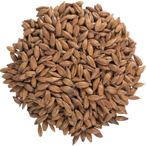 CaraBrown Malt - Briess Malting