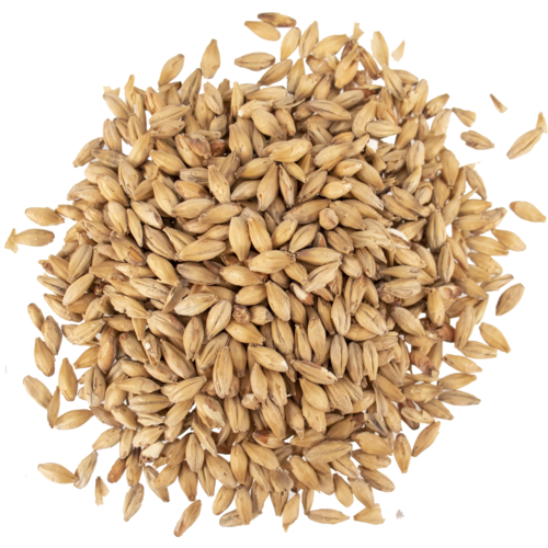 Pale Ale 2-Row Malt by Montana Craft Malt - 2.5L