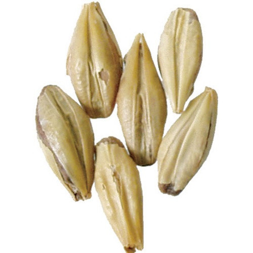 Victory 2 Row Malt - Breiss Malt