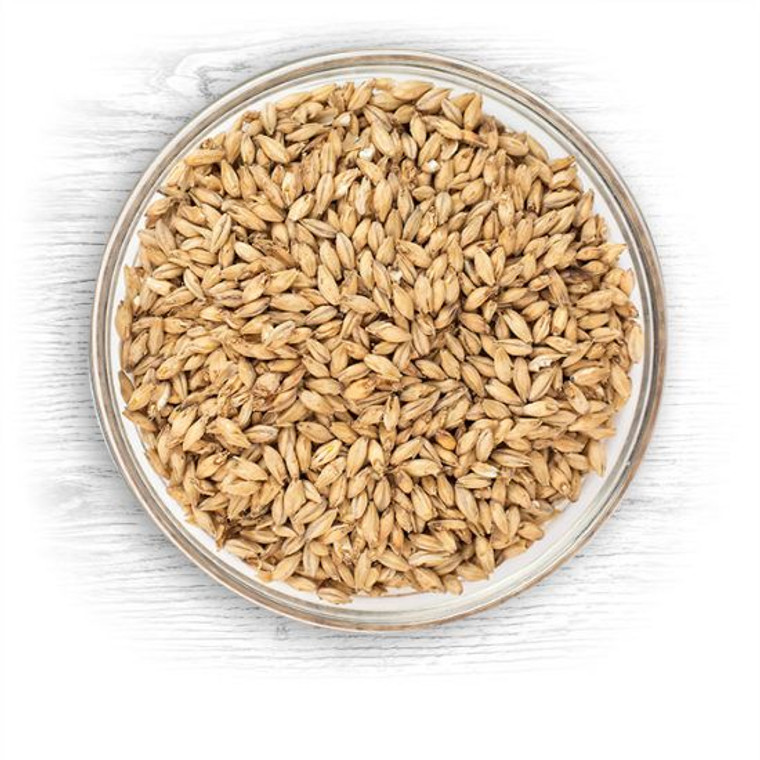Brewers Malt 2-Row by Briess Malting 1 lb beer brewing grains (1.8L)