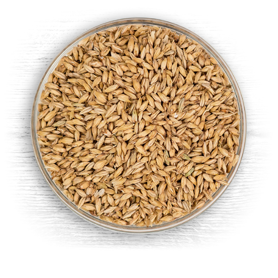 Distillers Malt 2-Row by Briess Malting 1 lb - 2.4L