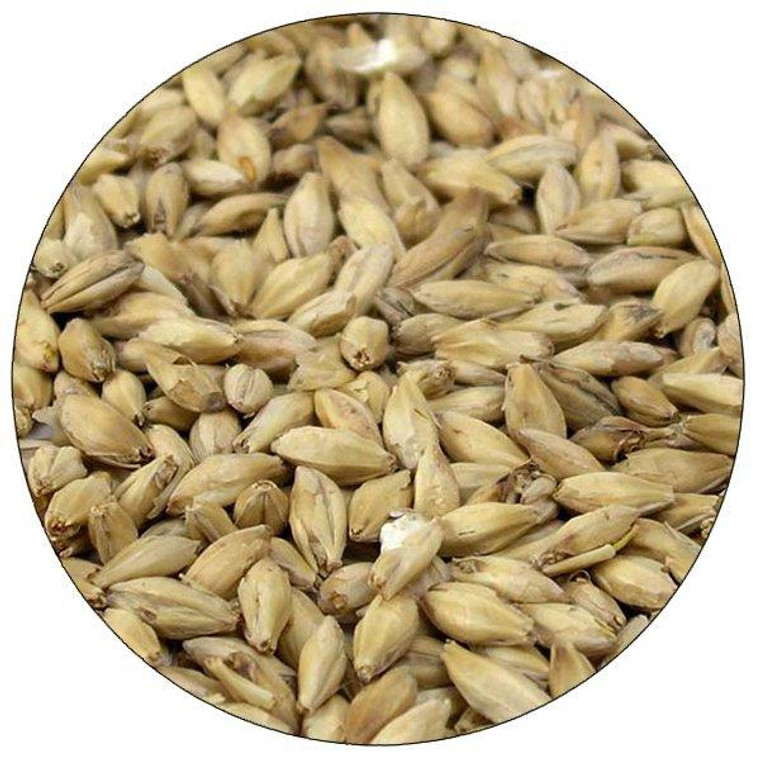 Organic Brewers Malt 2-Row by Briess Malting 10 lbs beer brewing grains (1.8L)