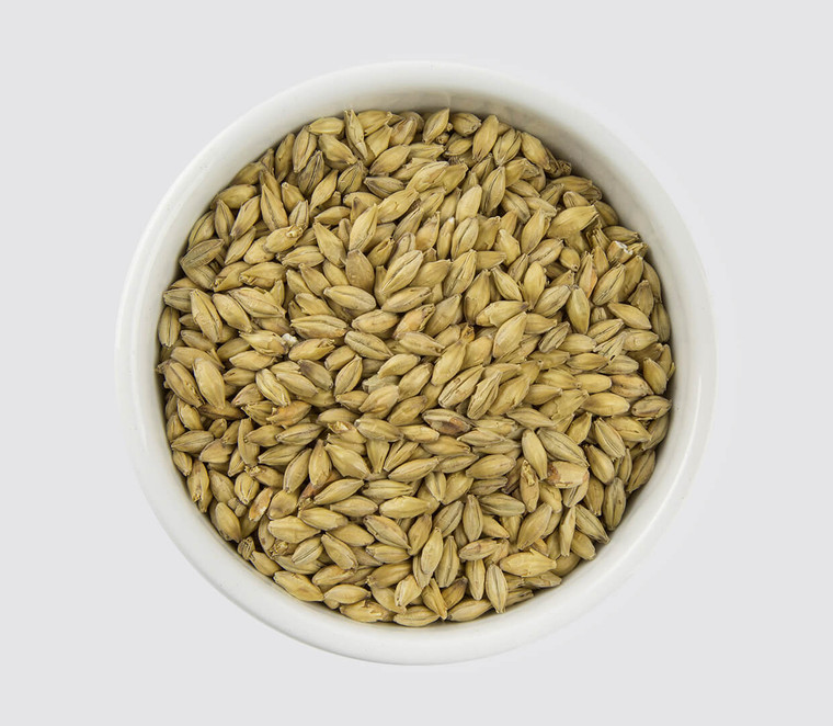 Pure Maris Otter Malt by Muntons 1 lb beer brewing grains (3L)