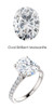 10298DG.1239366.91020420.639321.6 - 11 x 9 Oval Cut Moissanite, Platinum Mount, Precise Cut mined Diamonds G+ Color, VS Color