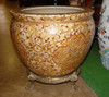 5133 AM - Fish Bowl with Ormolu Base Style C35 5133 AM - Fish Bowl with Ormolu Base Style C35