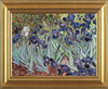 The Iris 1889 - Vincent Van Gogh - Framed Canvas Artwork 8171CB 24" x 21"