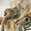 Cheetah Faux Fur Throw - Natural Look & Luxuriously Soft - Oversized 58" X 83", 210