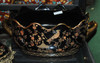 LCP - Luxury Chinese Porcelain, Ltd. Qty.