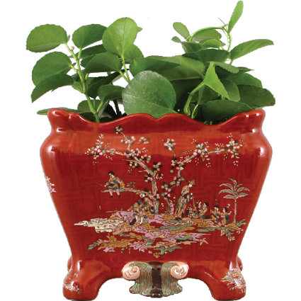 Crimson Garden Pattern - Luxury Hand Painted Porcelain - 11 Inch Orchid Pot, Planter