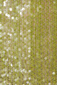 Island Green Sequin Mini Dress