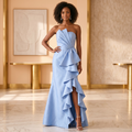 Odette Tube Maxi Dress