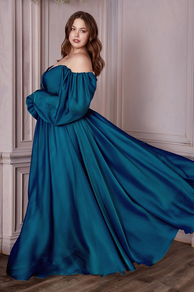 Long Sleeves Bodice A-line Chiffon Gown Plus Size Luxury Royal Style Classic Evening & Prom Dress CDCD243C