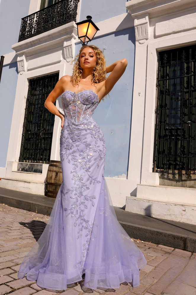 Embroidered Lace Sweetheart Strapless Long Prom Dress NXG1258