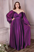 Long Sleeves Bodice A-line Chiffon Gown Plus Size Luxury Royal Style Classic Evening & Prom Dress CDCD243C