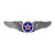 POF MUSEUM 3" WINGS MAGNET