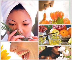 Body Basics (Special Order Scent) - add on Body Basics (Special Order Scent) - add on