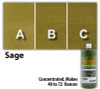 Water Reducible Concentrated (WRC) Concrete Stain - Sage 8oz