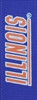 Illinois Illini Ribbon